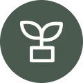 Item s4